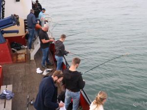 UA250920 Dagtocht zeevissen14.JPG